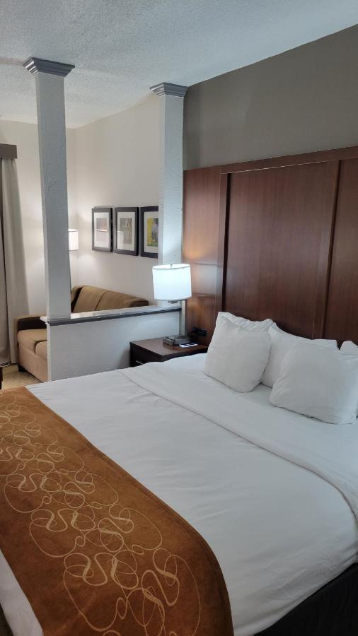Comfort Suites Cumming-Atlanta Near Northside Hospital Forsyth מראה חיצוני תמונה